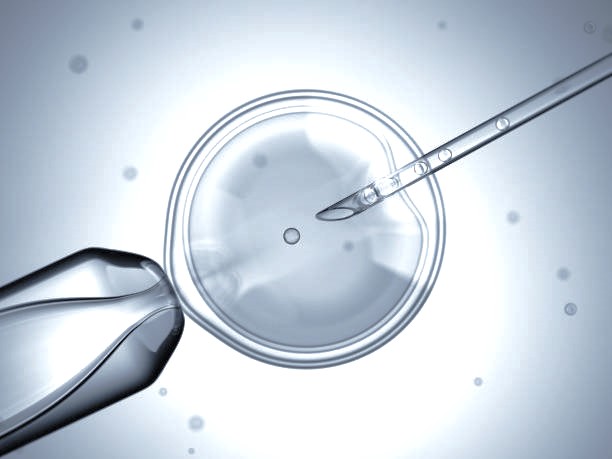 best doctor for IUI intrauterine insemination in vashi